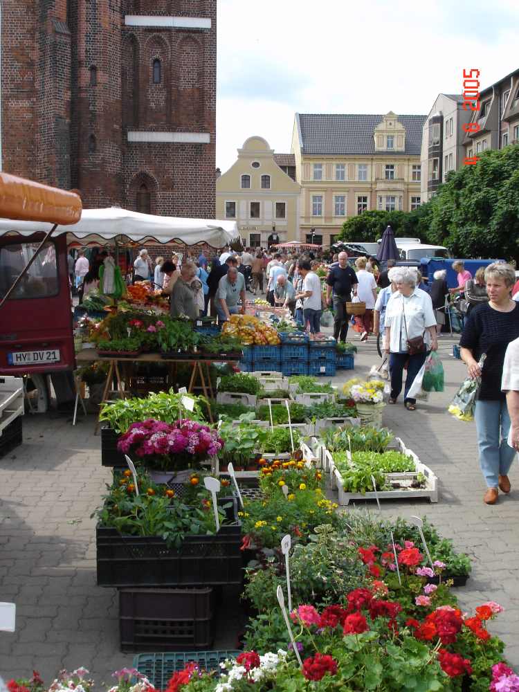 markt_in_cottbus4