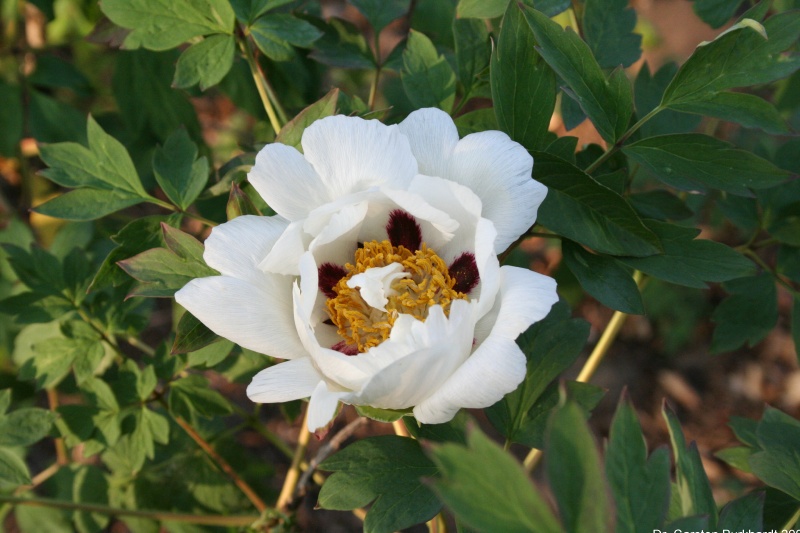 h60_002400