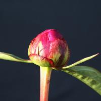 emp_009764