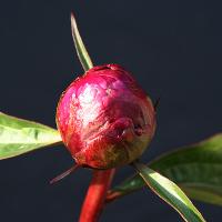 emp_009769