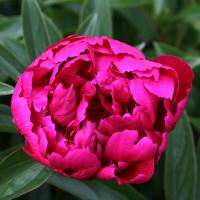 emp_014142
