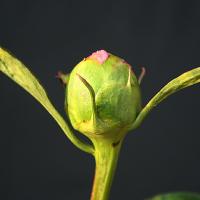 gayborder_june_009974
