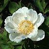 jinyaolou_002044_100